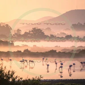 4cP013262AI生成素材