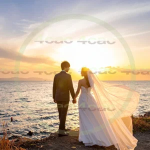 4cP013506AI生成素材