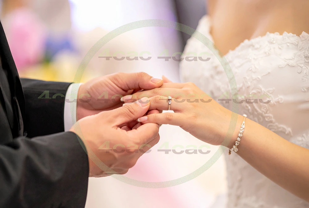 4cP013565AI生成素材