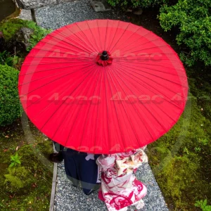 4cP013608AI生成素材