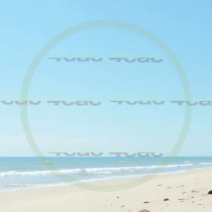 4cP013795AI生成素材