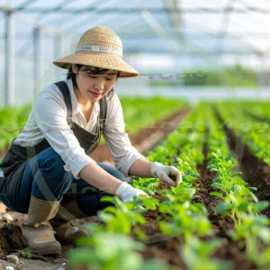 4cP014561AI生成素材