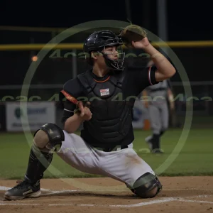 4cP014601AI生成素材