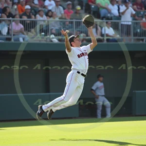 4cP014605AI生成素材