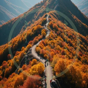 t4cp000306AI生成素材