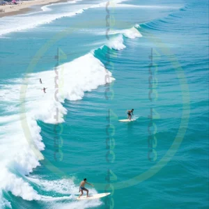 t4cp000321AI生成素材