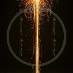 t4cp000421AI生成素材