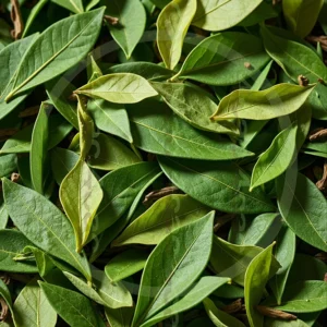 t4cp000526AI生成素材