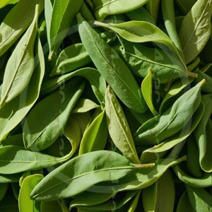 t4cp000527AI生成素材