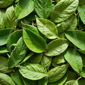 t4cp000528AI生成素材