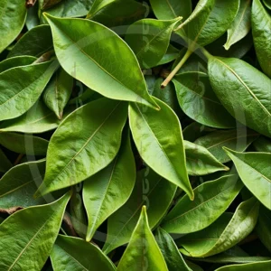 t4cp000529AI生成素材