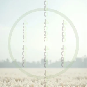 t4cp000633AI生成素材