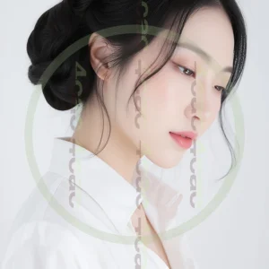 t4cp003372AI生成素材