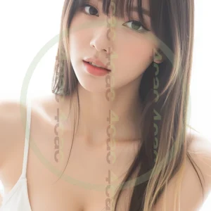 t4cp003855AI生成素材