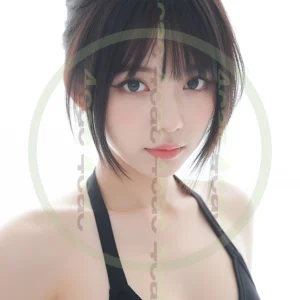 t4cp003870AI生成素材