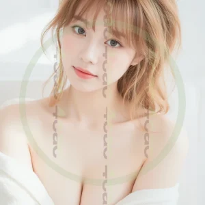 t4cp004000AI生成素材