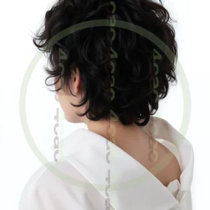 t4cp005775AI生成素材