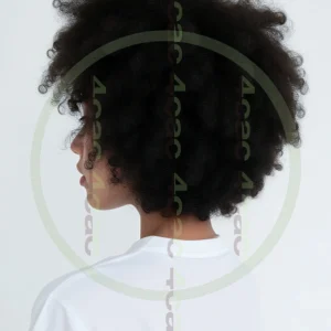 t4cp005776AI生成素材