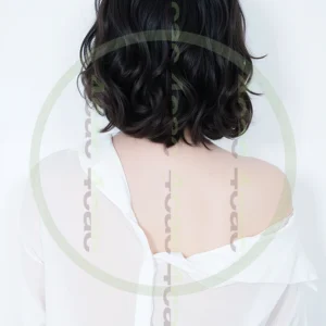 t4cp005780AI生成素材