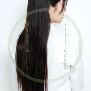 t4cp005786AI生成素材