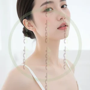 t4cp005911AI生成素材