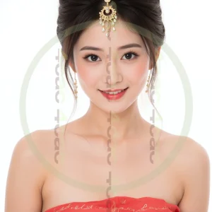 t4cp006444AI生成素材