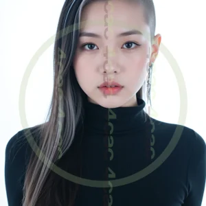 t4cp006562AI生成素材