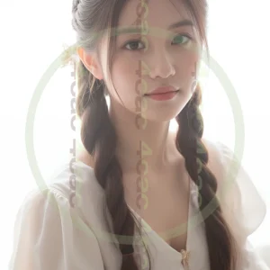 t4cp006651AI生成素材