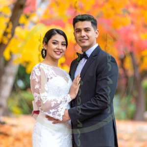 t4cp007886AI生成素材