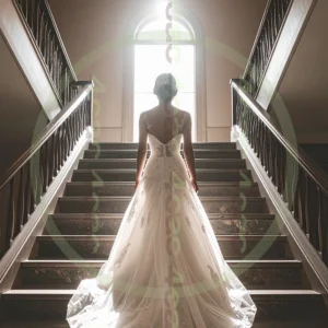 t4cp007900AI生成素材