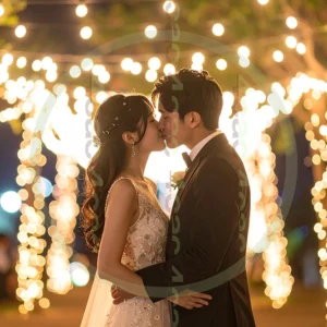 t4cp007948AI生成素材