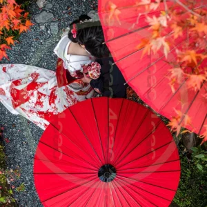 t4cp007954AI生成素材