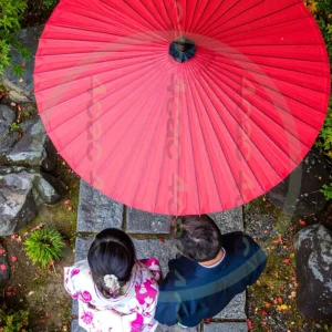 t4cp007955AI生成素材