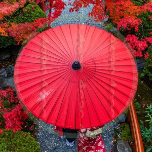 t4cp007956AI生成素材