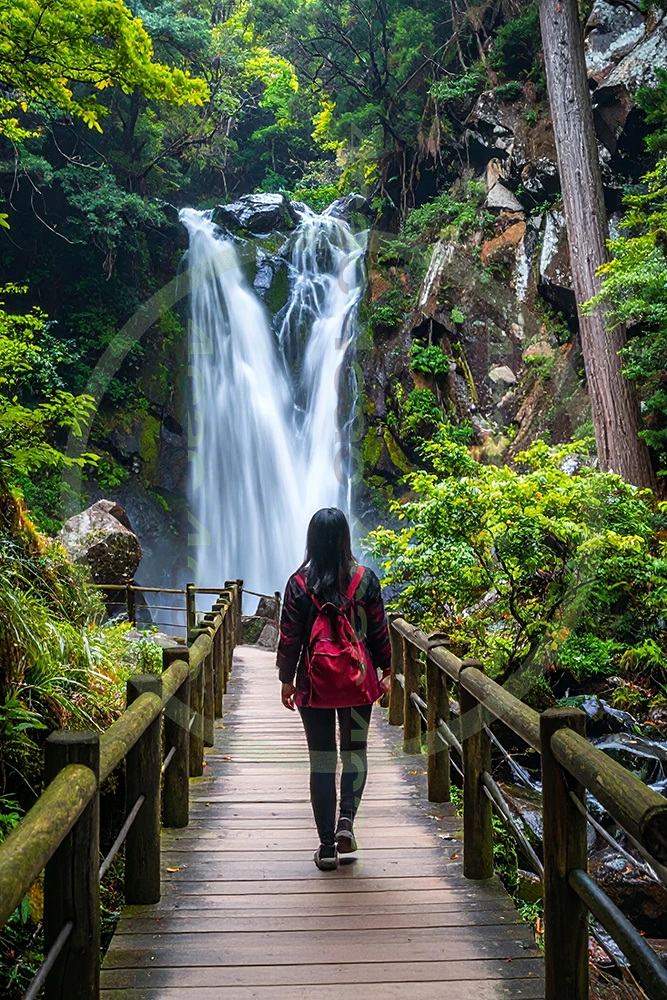 t4cp008396AI生成素材