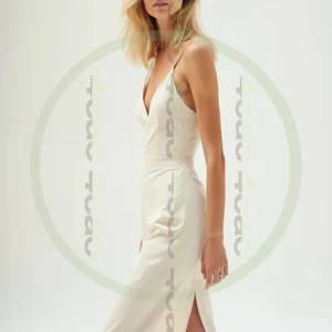 t4cp008795AI生成素材